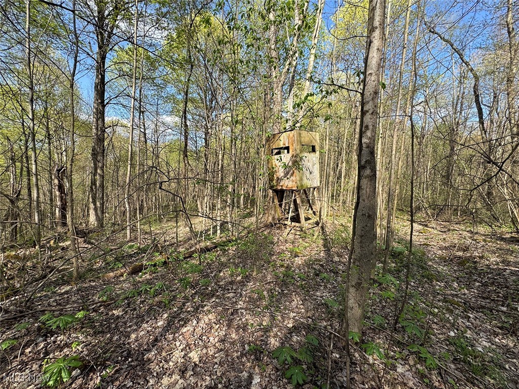 Brushy Hill Road, Jerusalem, Ohio image 23