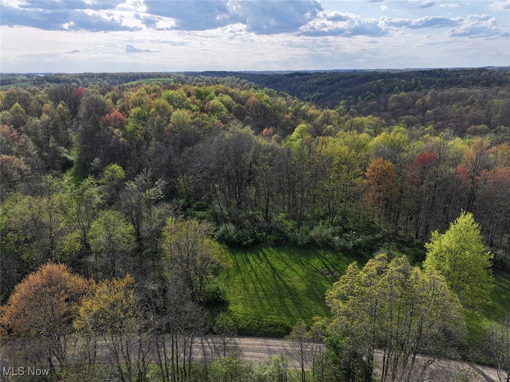 Brushy Hill Road, Jerusalem, Ohio image 7