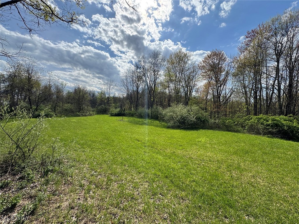 Brushy Hill Road, Jerusalem, Ohio image 3
