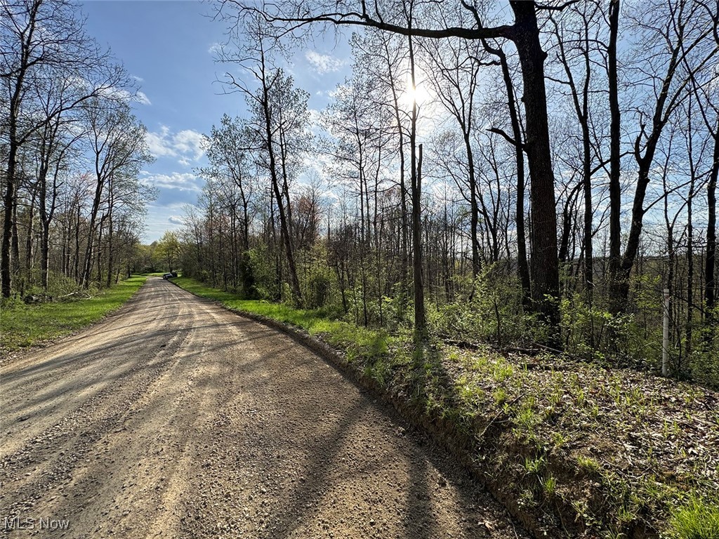 Brushy Hill Road, Jerusalem, Ohio image 30
