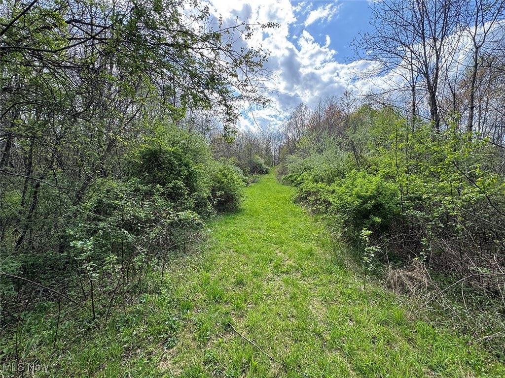 Brushy Hill Road, Jerusalem, Ohio image 5