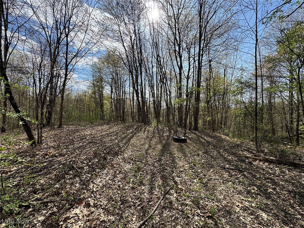 Brushy Hill Road, Jerusalem, Ohio image 17