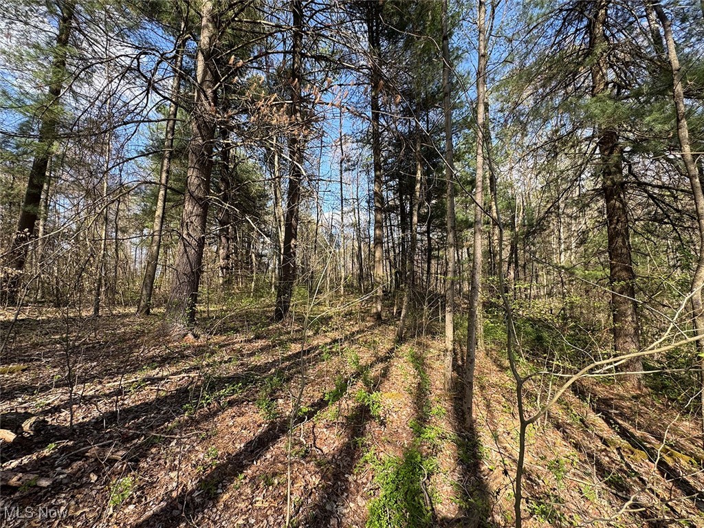 Brushy Hill Road, Jerusalem, Ohio image 21