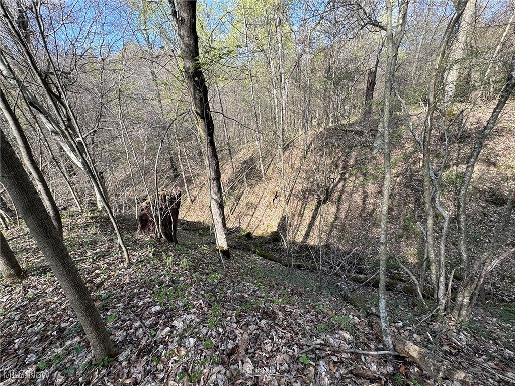 Brushy Hill Road, Jerusalem, Ohio image 27