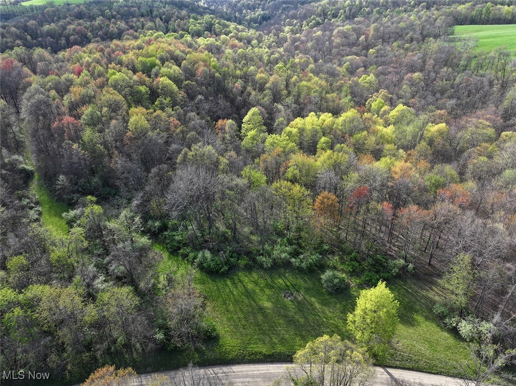 Brushy Hill Road, Jerusalem, Ohio image 2