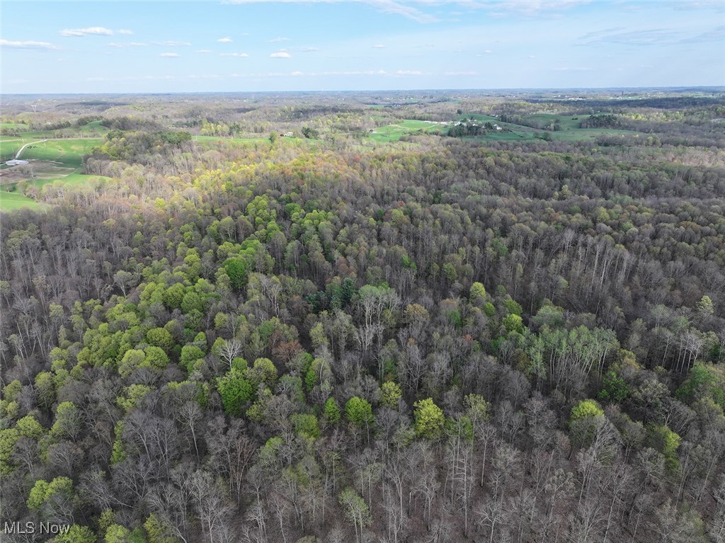 Brushy Hill Road, Jerusalem, Ohio image 8