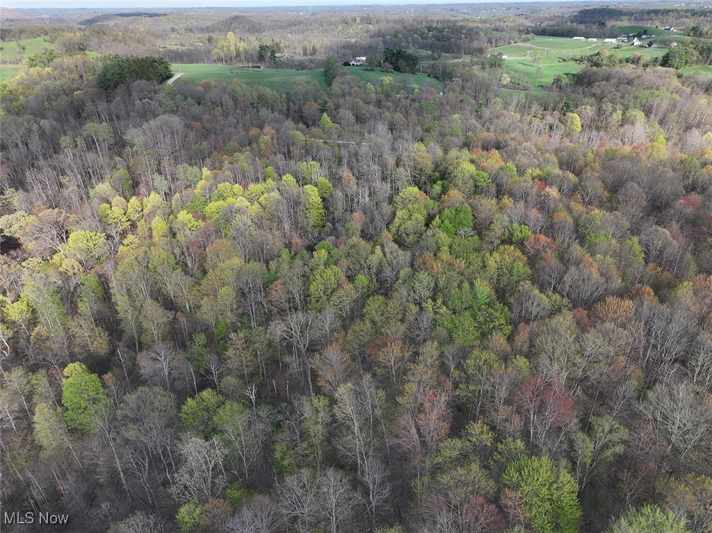 Brushy Hill Road, Jerusalem, Ohio image 9
