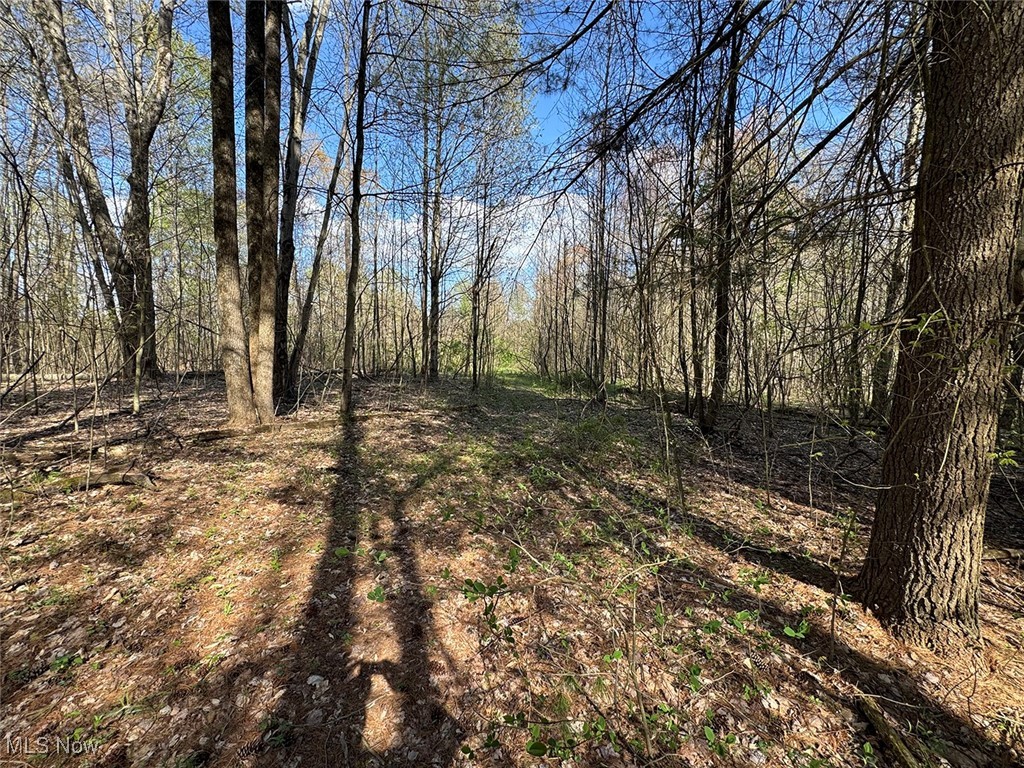 Brushy Hill Road, Jerusalem, Ohio image 22