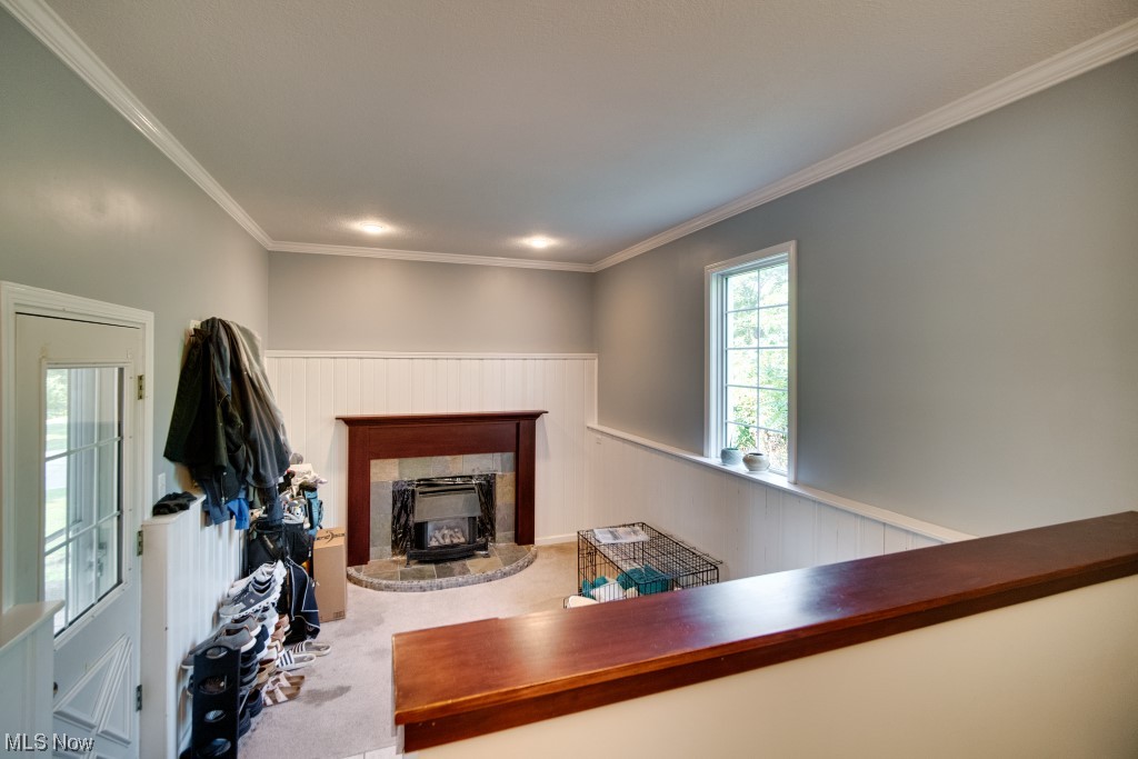 Parkway Allotment - Residential