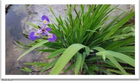 Swigart View - Residential