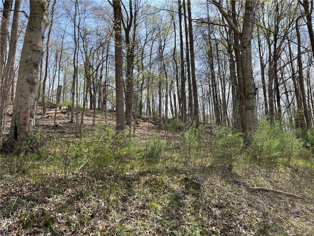 Just in time for Spring. Two excellent wooded lots on the north west end of Lake Buckhorn.
