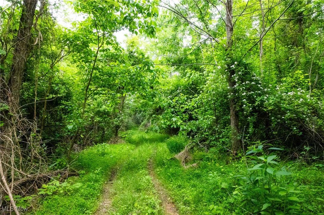 Macksburg Hill Road, Macksburg, Ohio image 11