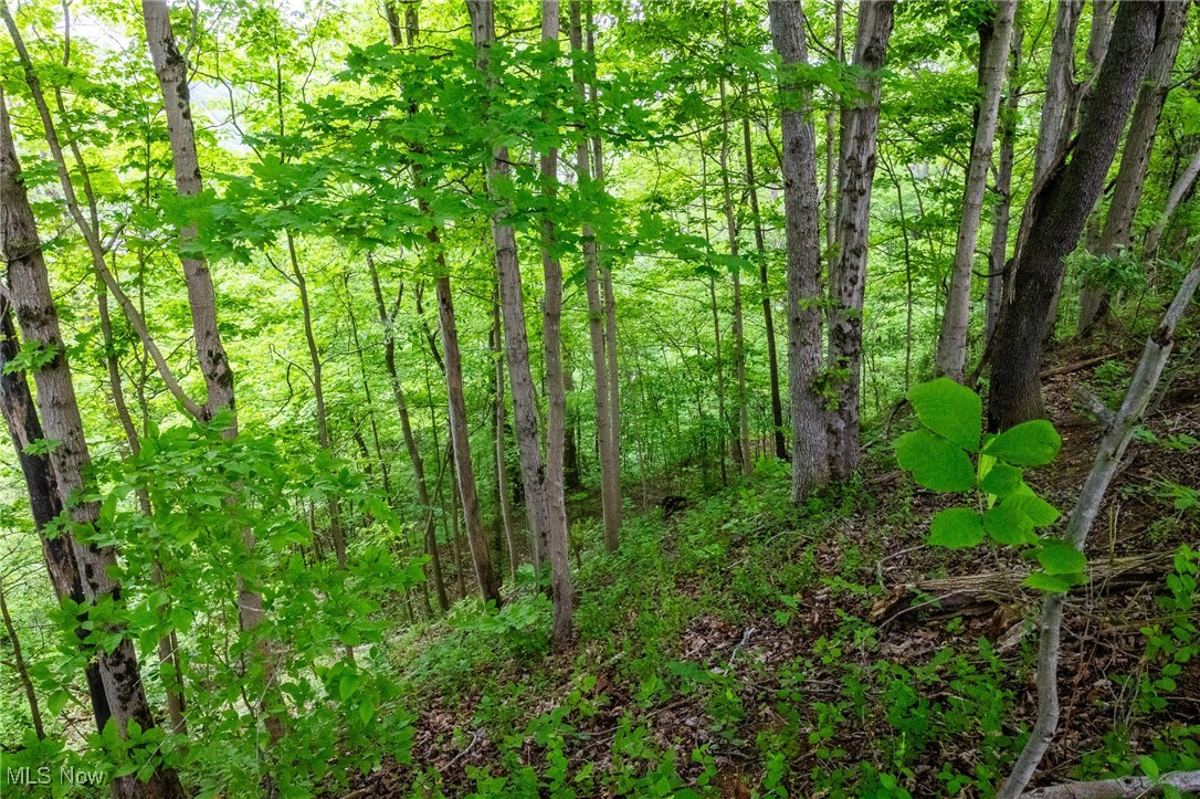 Macksburg Hill Road, Macksburg, Ohio image 13