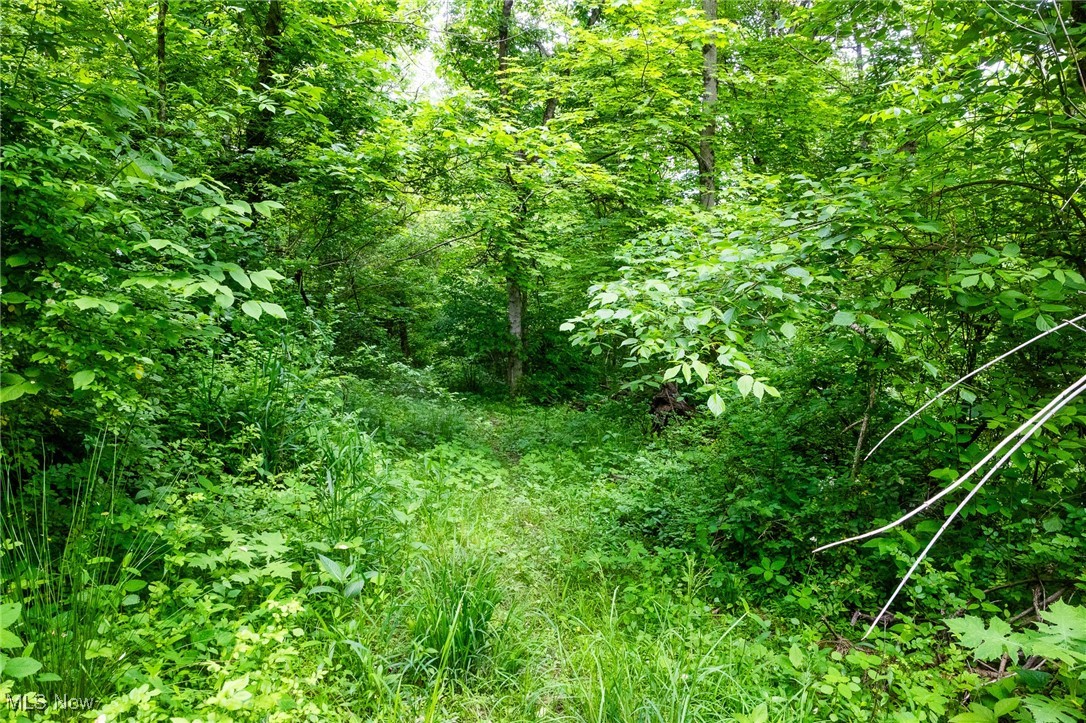 Macksburg Hill Road, Macksburg, Ohio image 16