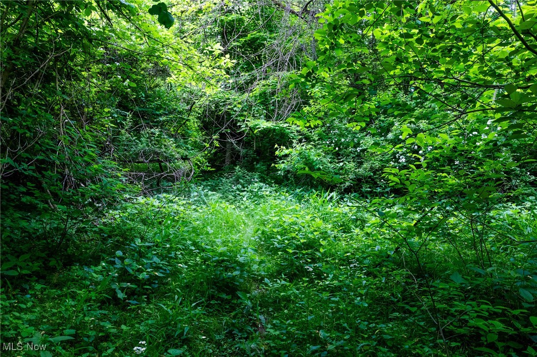 Macksburg Hill Road, Macksburg, Ohio image 18