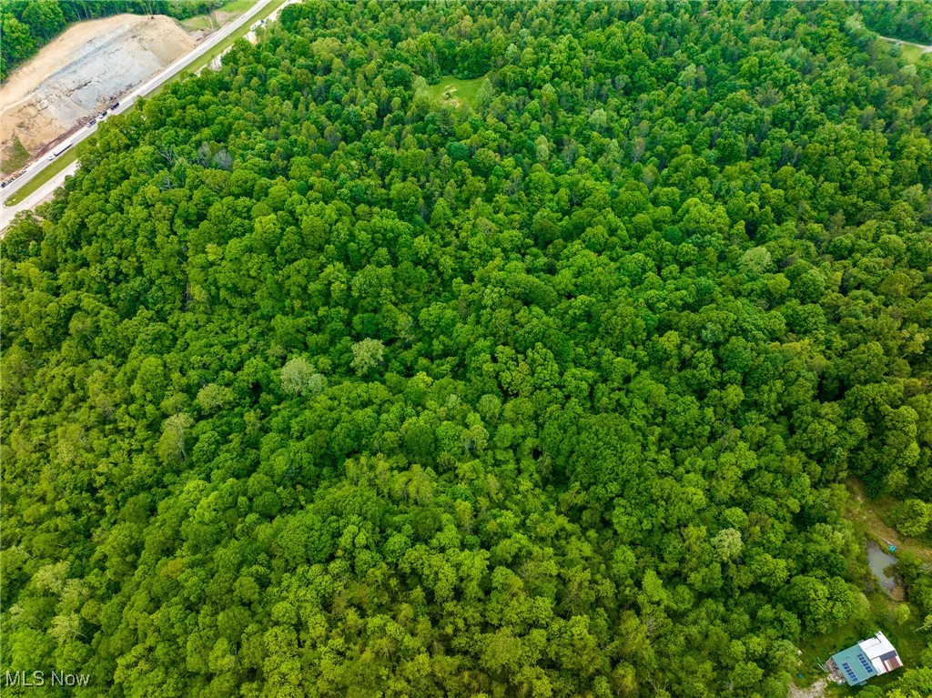 Macksburg Hill Road, Macksburg, Ohio image 38