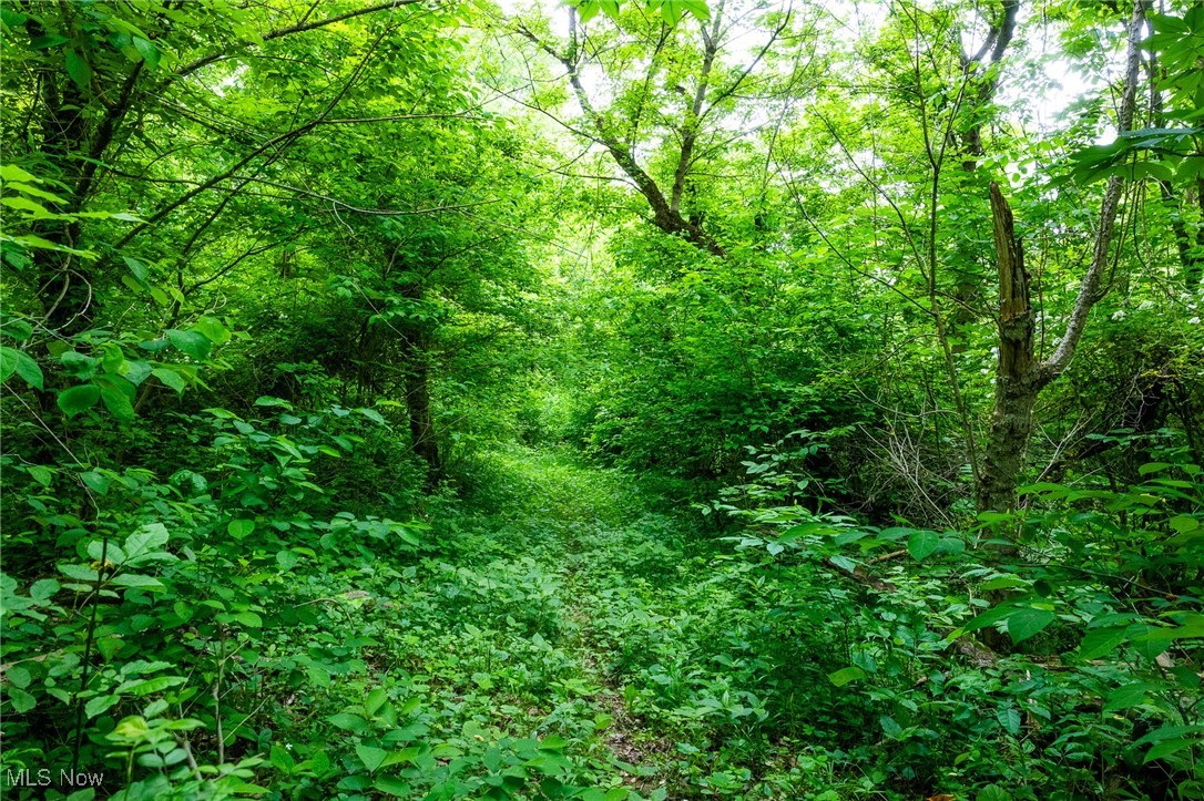 Macksburg Hill Road, Macksburg, Ohio image 17