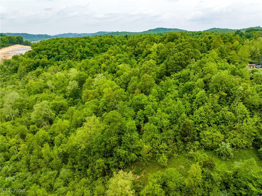 Macksburg Hill Road, Macksburg, Ohio image 31