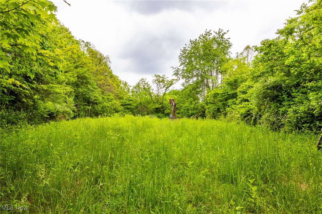 Macksburg Hill Road, Macksburg, Ohio image 8