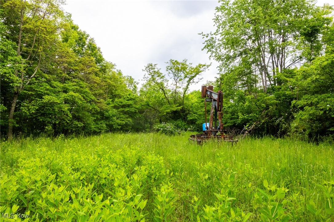 Macksburg Hill Road, Macksburg, Ohio image 12