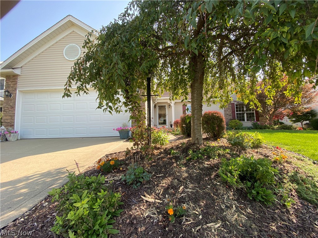 Cherryshire Woods - Residential