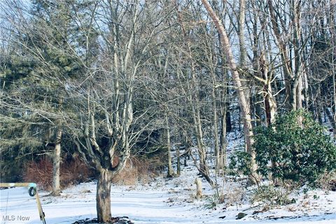 Tiny photo for 513 Queen Street, Minerva, OH 44657 (MLS # 5179634)