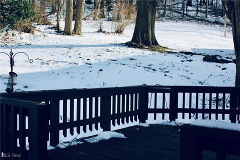 Tiny photo for 513 Queen Street, Minerva, OH 44657 (MLS # 5179634)