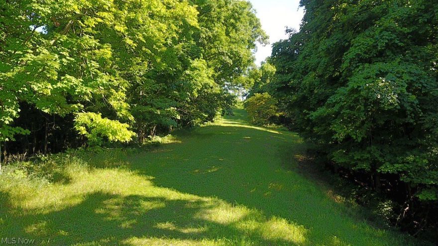 Public in southern Wood Co. 1001 m/l with pasture/meadows, nice wooded areas for hunting or timer.  Water has been ran close to property