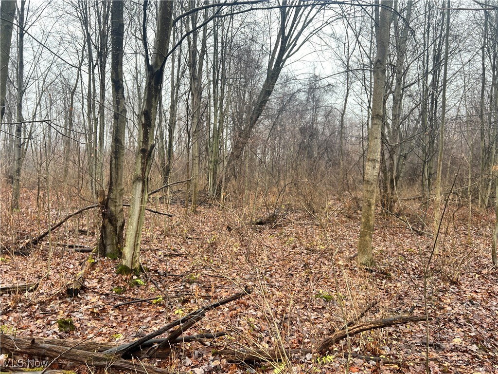 Creek, Conneaut, Ohio image 16