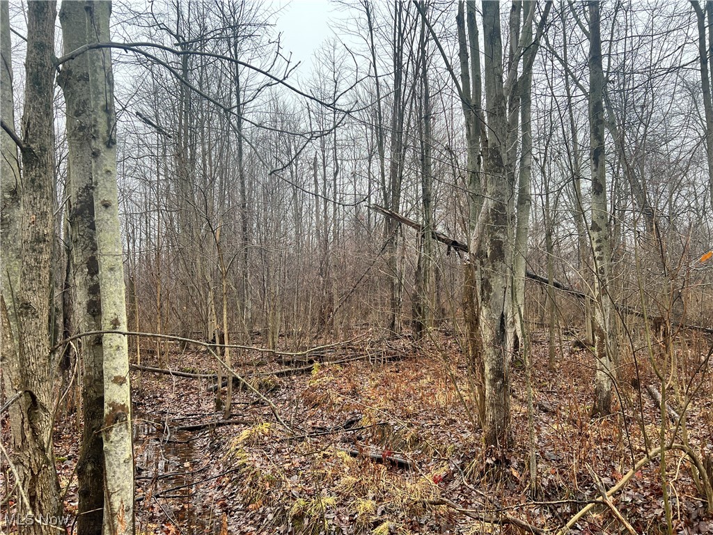 Creek, Conneaut, Ohio image 2