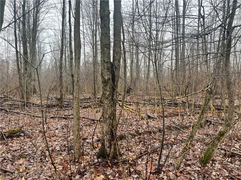 Creek, Conneaut, Ohio image 3