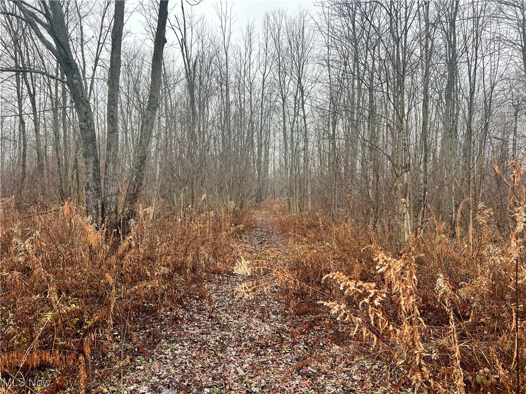 Creek, Conneaut, Ohio image 7