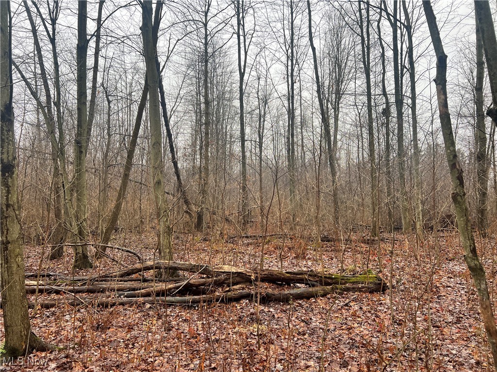 Creek, Conneaut, Ohio image 5