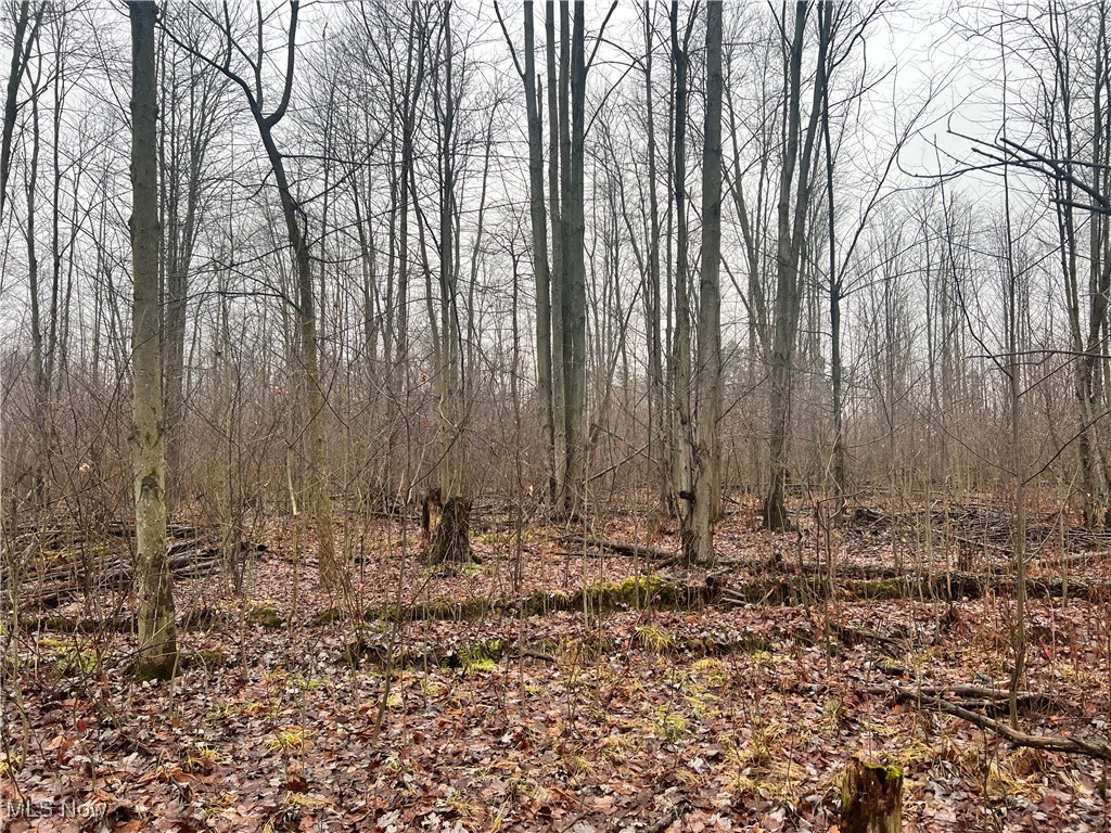 Creek, Conneaut, Ohio image 9