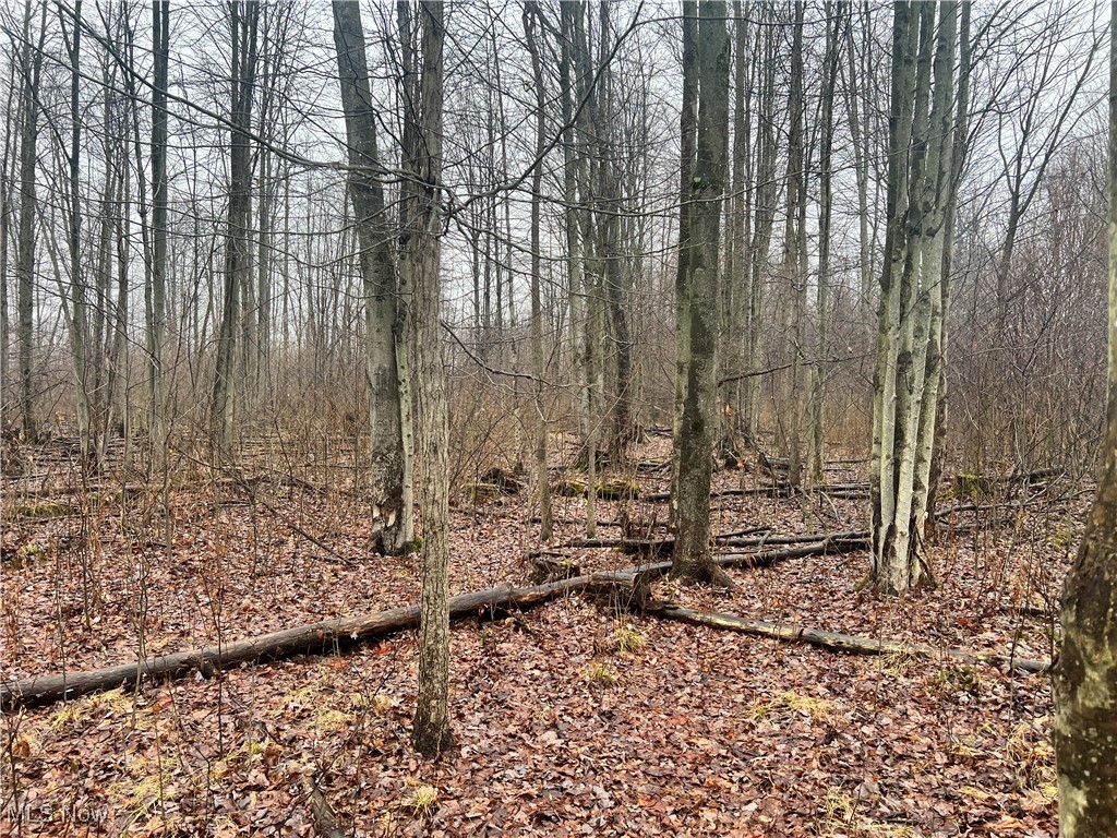 Creek, Conneaut, Ohio image 6