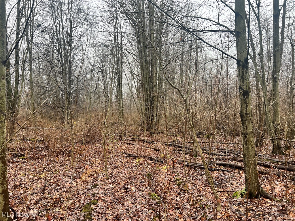 Creek, Conneaut, Ohio image 8