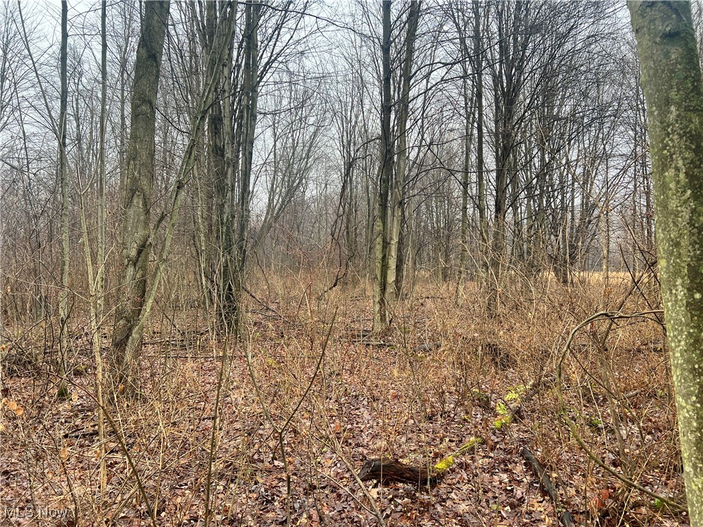 Creek, Conneaut, Ohio image 4