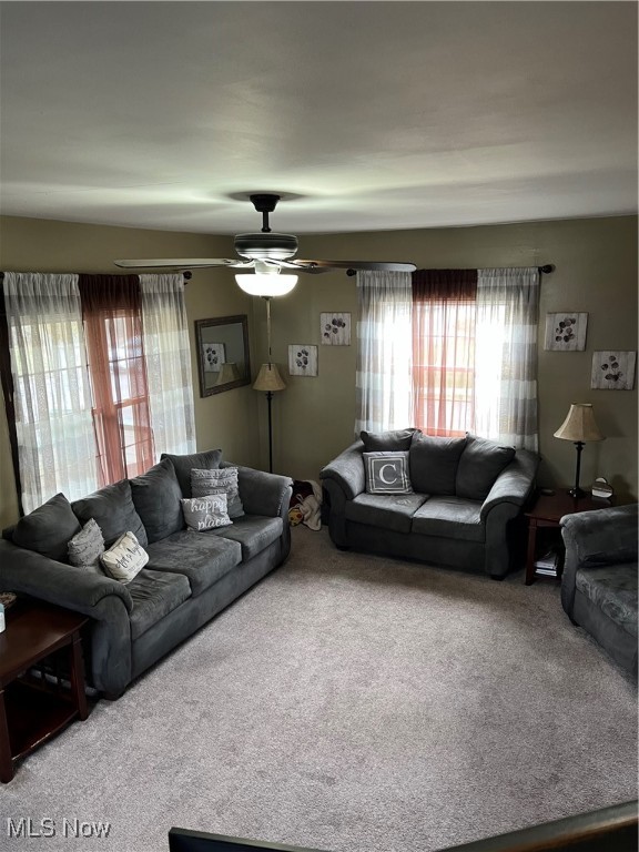 958 W Park Avenue, Niles, Ohio image 16