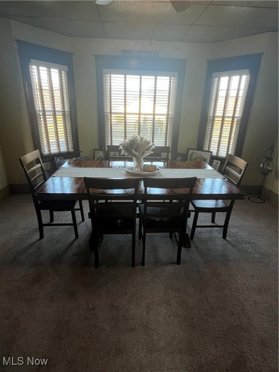 958 W Park Avenue, Niles, Ohio image 15