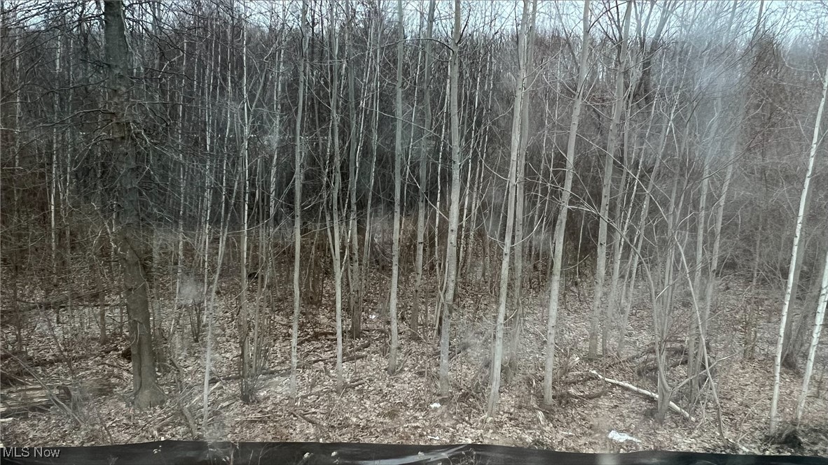 917 Oak Point Circle, Elyria, Ohio image 7