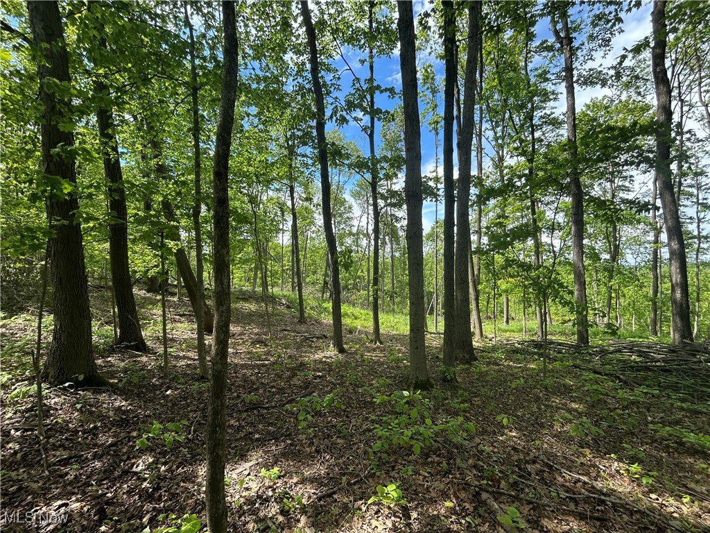 67655 Geese Road, Cambridge, Ohio image 1
