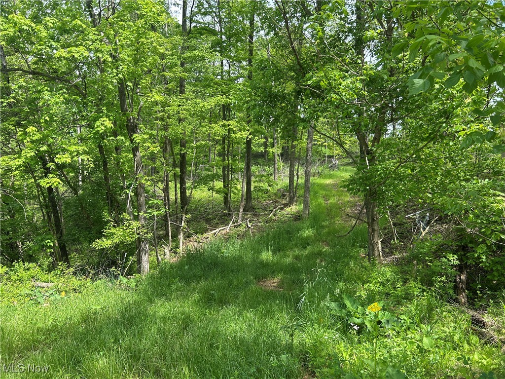 67655 Geese Road, Cambridge, Ohio image 3