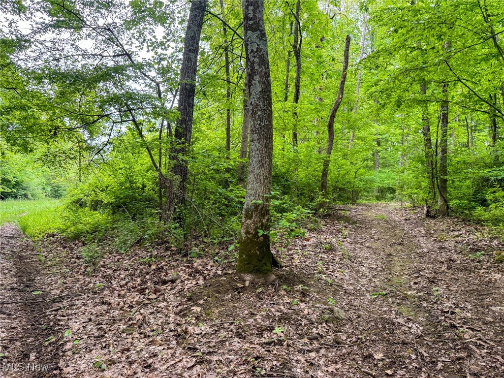 24981 Township Rd 26, Coshocton, Ohio image 3