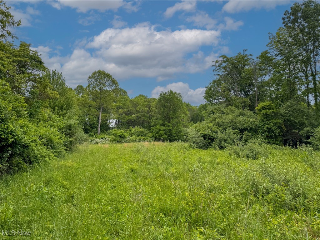 24981 Township Rd 26, Coshocton, Ohio image 14
