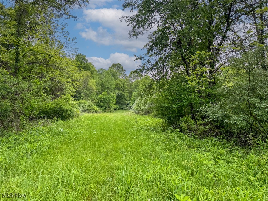 24981 Township Rd 26, Coshocton, Ohio image 15