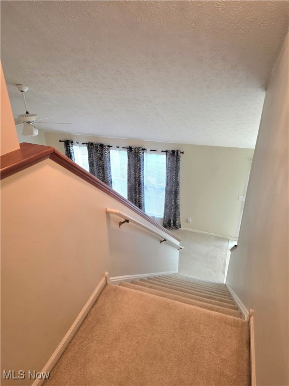 Aurora Shores - Residential