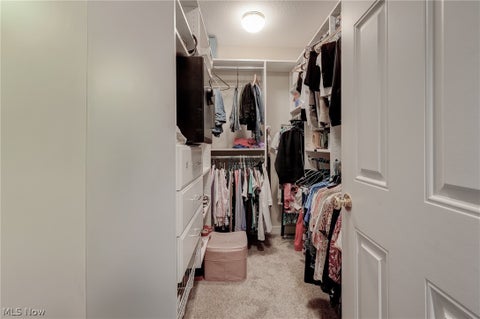Tiny photo for 3836 Heron Watch Drive, Akron, OH 44319 (MLS # 5221414)