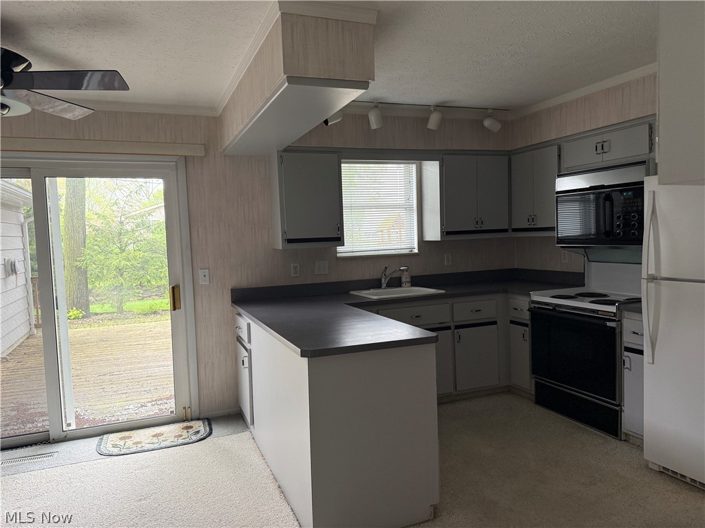 26958 Hyannisport Drive