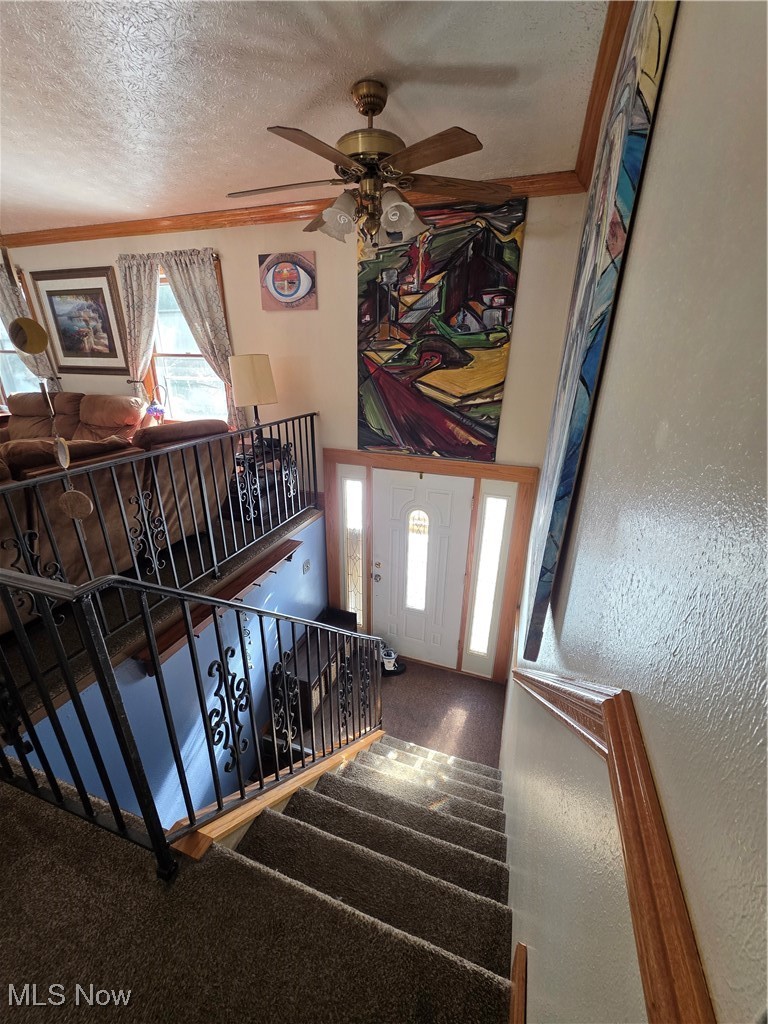 Sleepy Hollow Allotment - Residential