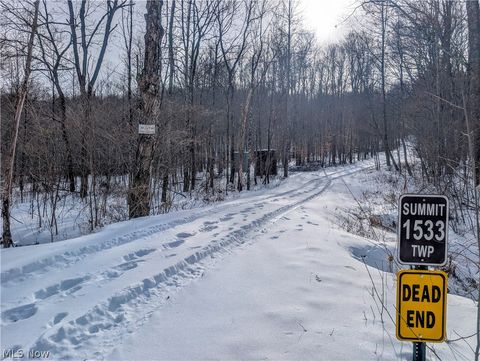 Vacant Land For Sale - Tract 10 Kuhn Road<br/> Lewisville, OH 43754